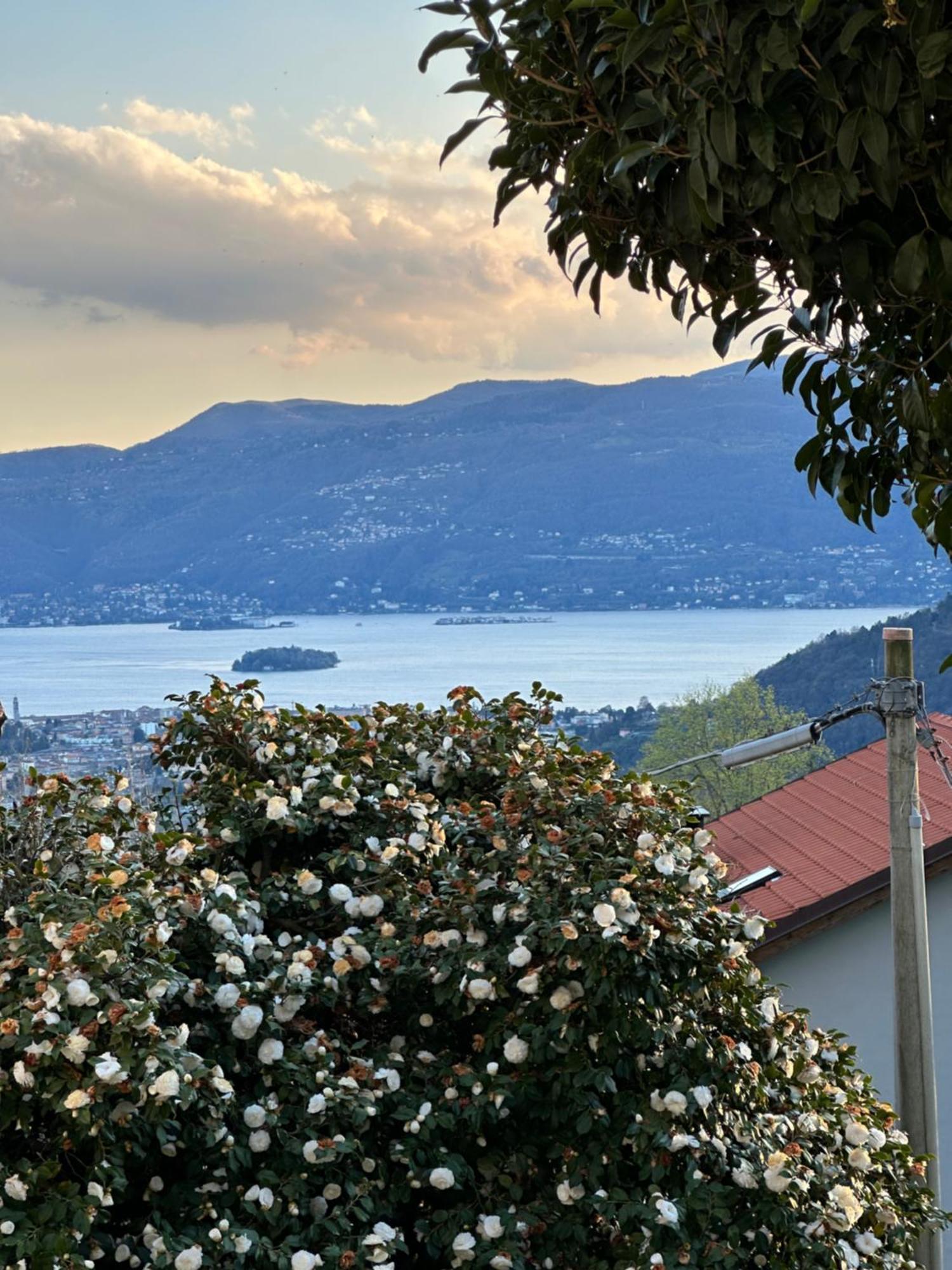 Villa Simonetta Bee 外观 照片